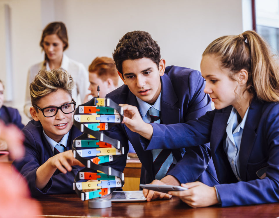 Creating universal learning experiences for different types of learners